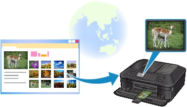 Canon : PIXMA Manuals : MX920 series : Printing Photos in Online Photo ...